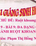 Bài giảng Sinh học lớp 7 bài 9: Đa dạng của ngành Ruột khoang