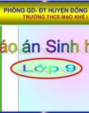 Bài giảng Sinh học lớp 9 - Tiết 9: Nguyên phân