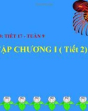 Bài giảng Đại số lớp 9 - Tiết 17: Ôn tập chương 1 (Tiết 2)