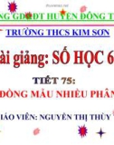 Bài giảng Đại số lớp 6 bài 5: Quy đồng mẫu nhiều phân số