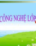 Bài giảng Công nghệ lớp 8 bài 33: An toàn điện