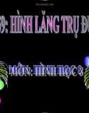 Bài giảng Hình học lớp 8 - Tiết 59: Hình lăng trụ đứng