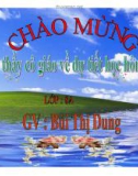 Bài giảng Hình học lớp 8 - Tiết 42: Khái niệm hai tam giác đồng dạng