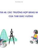 Bài giảng Hình học lớp 7 - Tiết 40: Các trường hợp bằng nhau của tam giác vuông