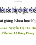 Bài giảng Khoa học lớp 4: Các nguồn nhiệt - Nguyễn Thị Thu Thuỷ