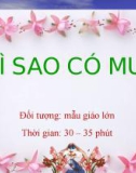 Bài giảng Mầm non: Đề tài - Vì sao có mưa