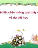 Bài giảng Mầm non: Thế giớ thực vật - Hà Bích Khuyên