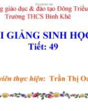 Bài giảng Sinh học lớp 7 bài 49: Đa dạng của lớp thú bộ dơi - bộ cá voi