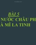 Bài giảng Lịch sử lớp 12 bài 5: Các nước Châu Phi và Mĩ la tinh