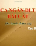 Bài giảng Ngữ văn lớp 11 bài: Bài ca ngắn đi trên cát - Cao Bá Quát