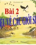 Bài giảng Sinh học lớp 10 bài 2: Giới thiệu các giới sinh vật