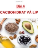 Bài giảng Sinh học lớp 10 bài 4: Cacbohidrat và Lipit