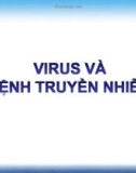 Bài giảng Sinh học lớp 10 bài 29, 30: Virus và bệnh truyền nhiễm