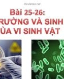 Bài giảng Sinh học lớp 10 bài 25, 26: Sinh trưởng và sinh sản của vi sinh vật