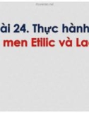 Bài giảng Sinh học lớp 10 bài 24. Thực hành: Lên men Etilic và Lactic