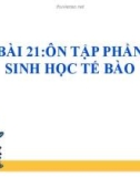 Bài giảng môn Sinh học lớp 10 bài 21: Ôn tập phần sinh học tế bào