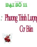 Bài giảng Đại số lớp 11 bài 2: Phương trình lượng giác cơ bản