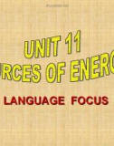 Bài giảng Tiếng Anh lớp 11: Unit 11 - Language focus