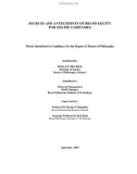 Doctoral thesis of Philosophy: Sources and antecedents of brand equity for online companies