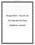 Drupal SEO - Vấn đề vẫn là trung lặp nội dung