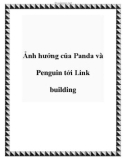 Ảnh hưởng của Panda và Penguin tới Link building