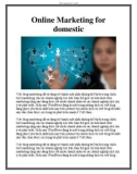 Online Marketing for domestic