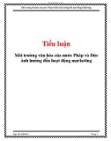 Tiểu luận: Môi trường văn hóa của nước Pháp và Đức ảnh hưởng đến hoạt động marketing