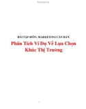 Tiểu luận: Phân Tích Ví Dụ Về Lựa Chọn Khúc Thị Trường