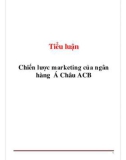 Tiểu luận: Chiến lược marketing của ngân hàng Á Châu ACB