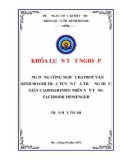 Khóa luận tốt nghiệp Quản trị kinh doanh: Ứng dụng công nghệ Chatbot vào kinh doanh trực tuyến của thương hiệu Giày Caosmartmen trên nền tảng facebook messenger