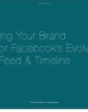 preparing your brand page for fac's evolved news feed & timeline