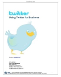 Using Twitter for Business: Duct Tape Marketing