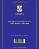 Luận văn Thạc sĩ Kỹ thuật điện tử: Ước lượng mù Offset tần số sóng mang trong hệ thống OFDM