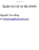 Bài giảng Quản trị rủi ro tài chính: Chương 1 - Nguyễn Thu Hằng