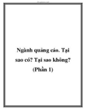 Ngành quảng cáo. Tại sao có? Tại sao không? (Phần 1)