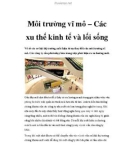 Môi trường vĩ mô – Các xu thế kinh tế và lối sống