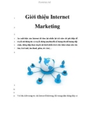 Giới thiệu Internet Marketing