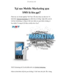 Tại sao Mobile Marketing qua SMS là lừa gạt?