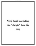 Nghệ thuật marketing của đại gia kem tẩy lông,