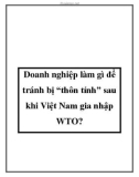 Doanh nghiệp làm gì để tránh bị 'thôn tính' sau khi Việt Nam gia nhập WTO?