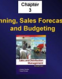 Lecture Sales and distribution management: Chapter 3 - Krishna K Havaldar, Vasant M Cavale