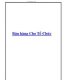 Bán hàng Cho Tổ Chức