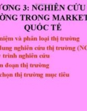 Bài giảng Marketing quốc tế: Chương 3 - ThS. Trần Hải Ly