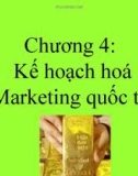 Kế hoạch hoá Marketing quốc tế