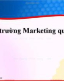 Bài giảng Marketing quốc tế: Chương 2 - MBA. Trần Việt Dũng