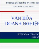 Bài giảng Văn hóa doanh nghiệp - Trần Việt Hùng