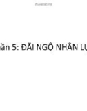 Bài giảng Phần 5: Đãi ngộ nhân lực