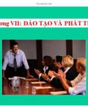 Bài giảng Quản trị nguồn nhân lực - Chương 7: Đào tạo và phát triển