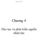 Bài giảng Quản trị nguồn nhân lực - Chương 5: Đào tạo và phát triển nguồn nhân lực