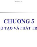 Bài giảng Quản trị nguồn nhân lực - Chương 5: Đào tạo và phát triển